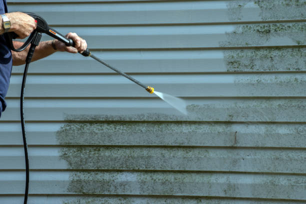 Best Affordable Pressure Washing  in La Marque, TX
