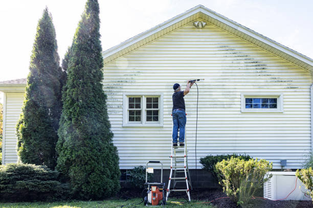 Best Roof Pressure Washing  in La Marque, TX