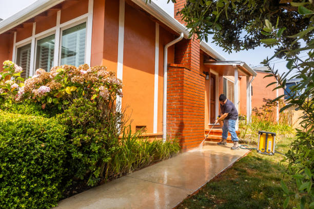 Best Pressure Washing Services for Businesses  in La Marque, TX