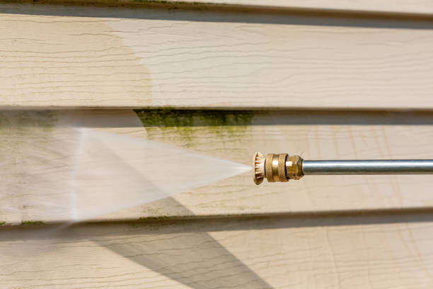 Best Best Pressure Washing Companies  in La Marque, TX